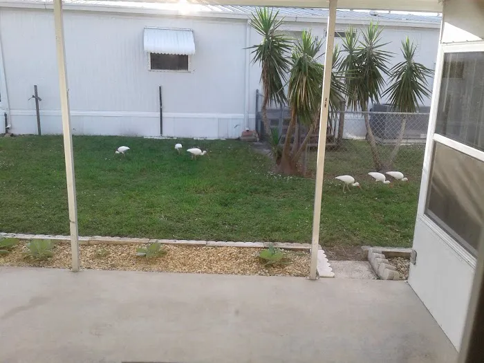Southern Sun RV Park Picture 6