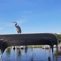 Lakeview RV Park ico