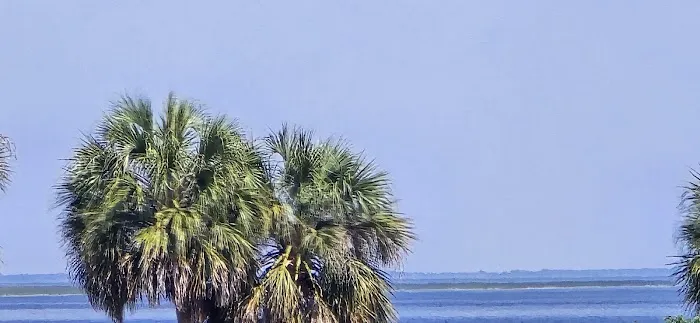 Casablanca RV Mobile Home Picture 4