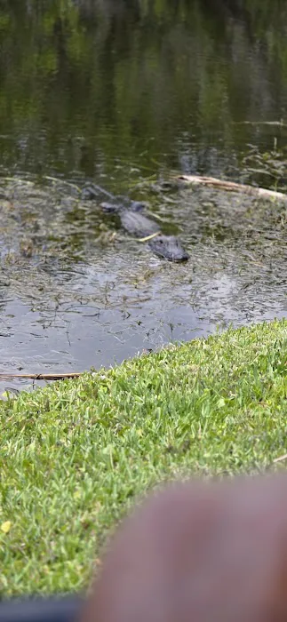 Casablanca RV Mobile Home Picture 1