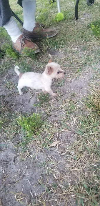 Fox Briar Mobile Home Park Picture 5