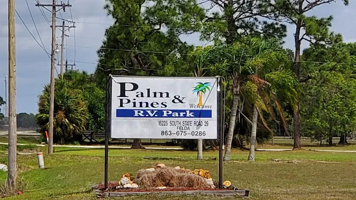 Palm & Pines RV Park Picture 4