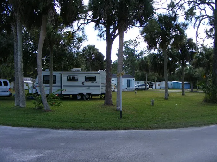 Palm & Pines RV Park Picture 3