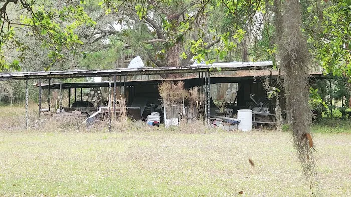 Palm & Pines RV Park Picture 7