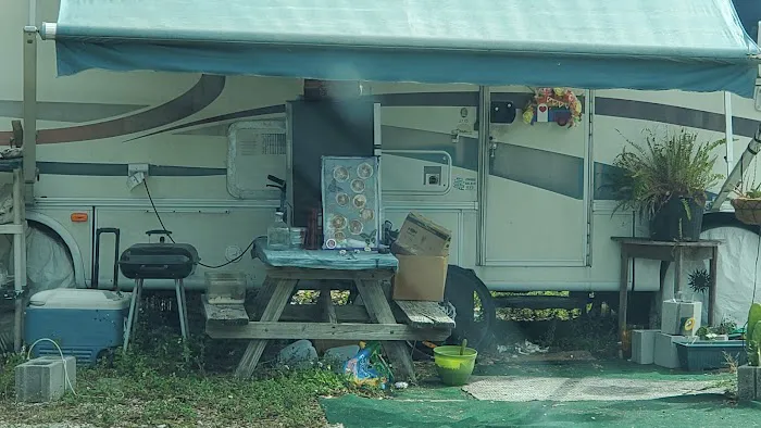 Palm & Pines RV Park Picture 5
