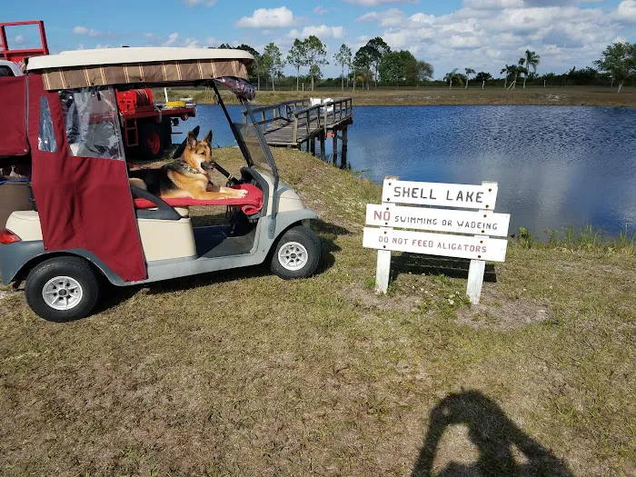 Don's RV Lots at Paradise Park Picture 7