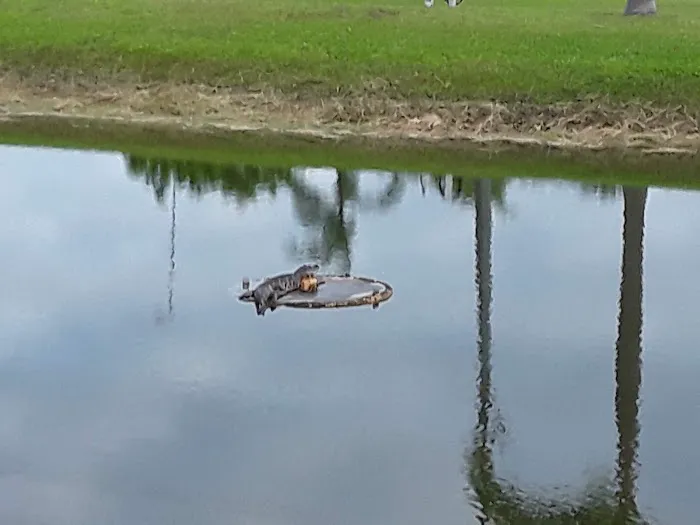 Don's RV Lots at Paradise Park Picture 9