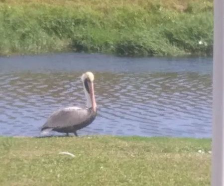 Summer Breeze RV Park