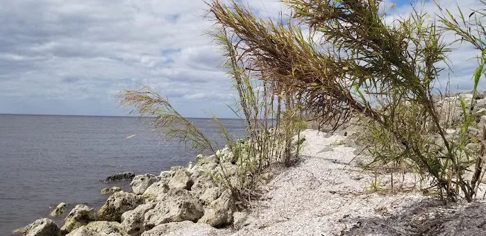 Okeechobee Lake RV Park Picture 9