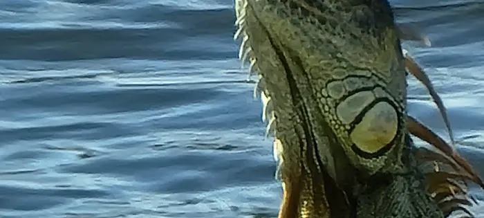 Lakeside Mobile Home Park Picture 10