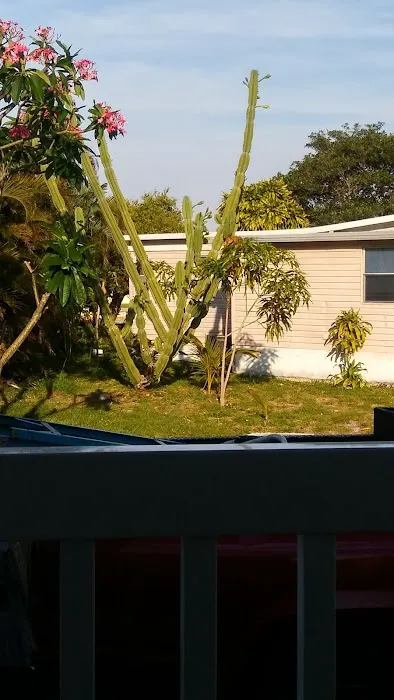 Palm Beach Colony Picture 4