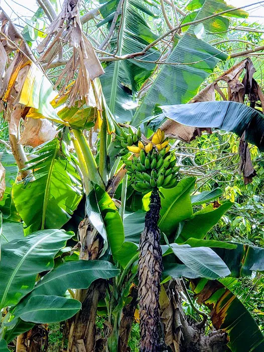 Palm Beach Colony Picture 5