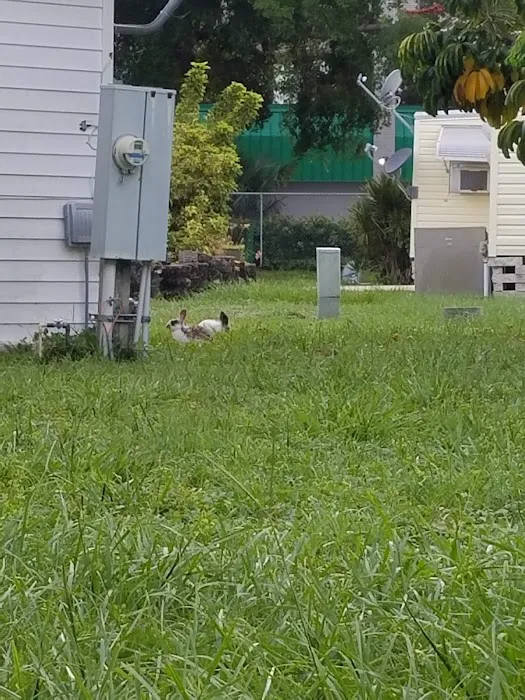 Palm Beach Colony Picture 10