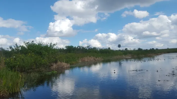 Big O RV Resort (55 plus) Picture 4