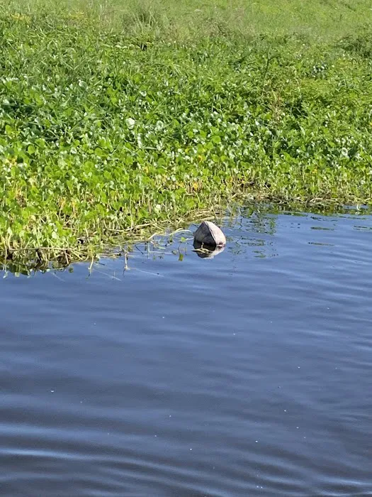 Big O RV Resort (55 plus) Picture 5