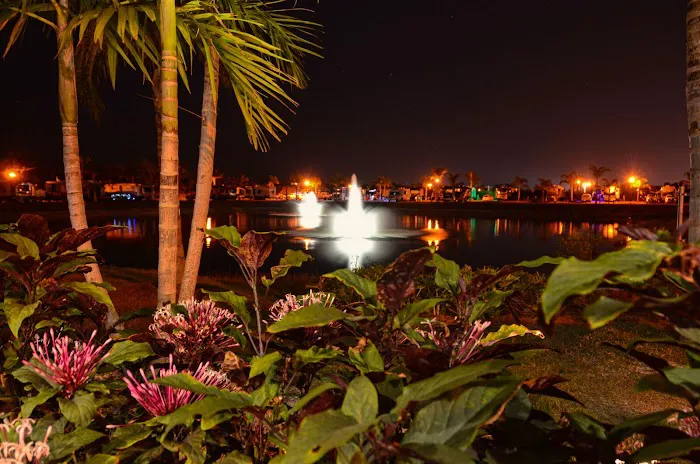 Silver Palms RV Resort Picture 7