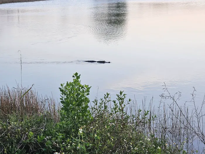 South Bay RV Park Picture 10