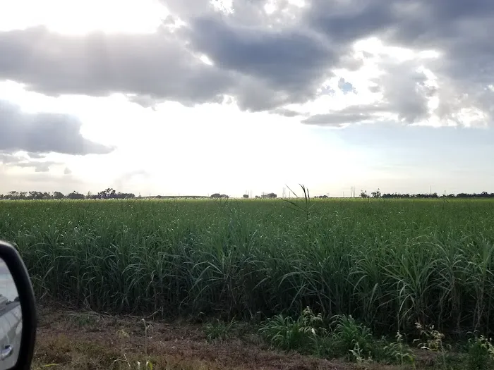 Twin Palms Mobile Home Park Picture 3