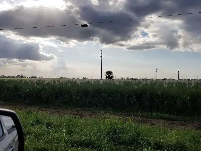 Twin Palms Mobile Home Park Picture 2