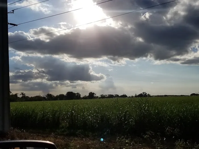 Twin Palms Mobile Home Park Picture 4