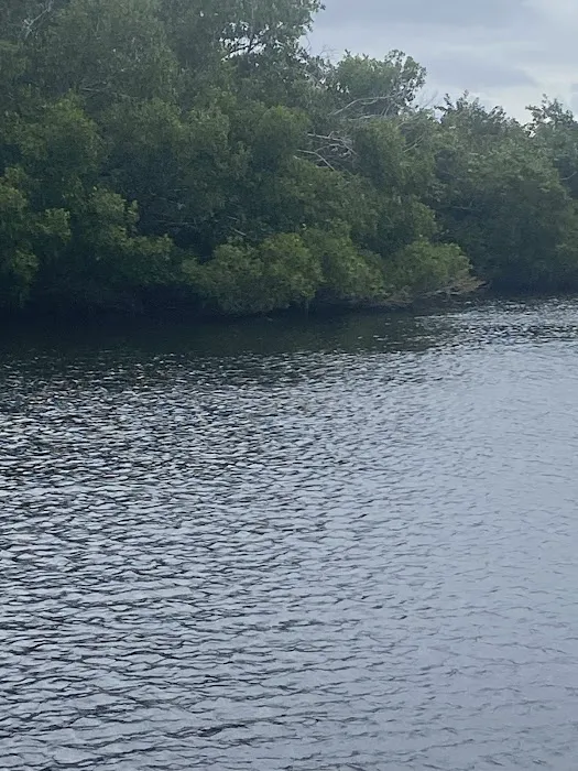 Sun-N-Fun RV Park Picture 10