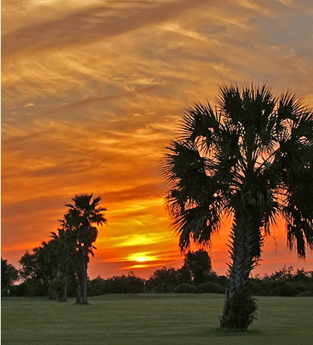 Live Oak RV Resort & Golf Course Picture 1