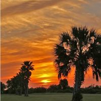 Live Oak RV Resort & Golf Course ico