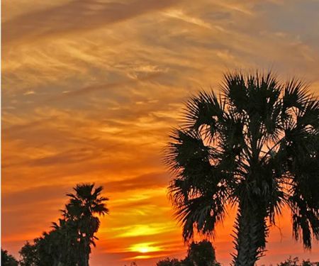 Live Oak RV Resort & Golf Course