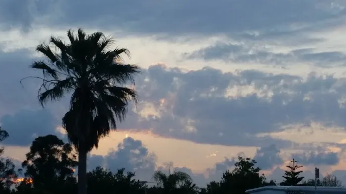 Live Oak RV Resort & Golf Course Picture 6