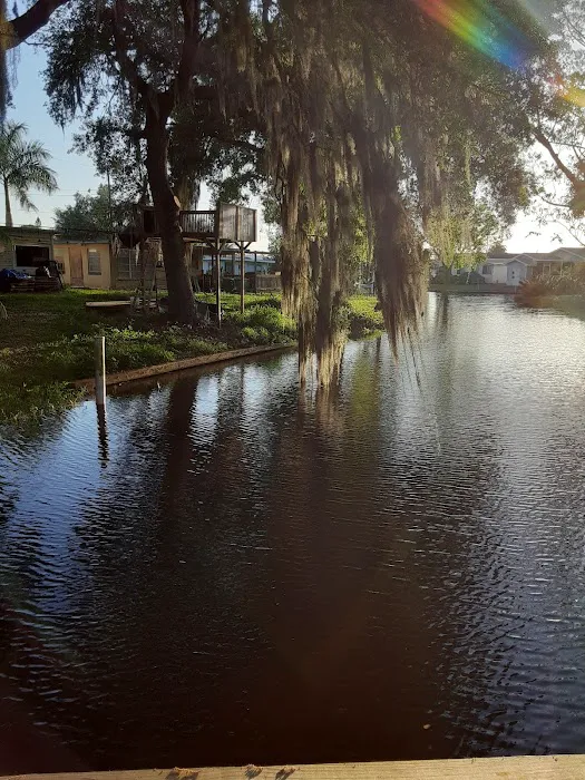 Peace River Mobile Home RV Picture 8