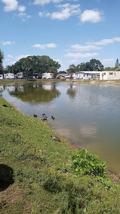 Lazy J Mobile Home & RV Park Picture 3