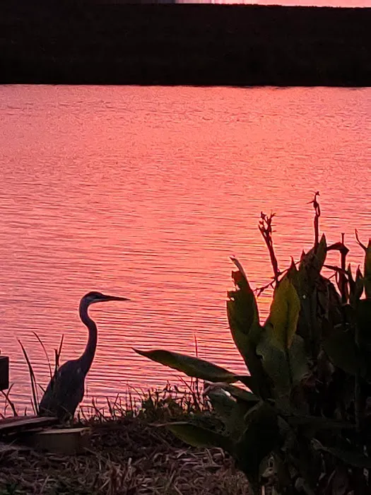 Peacock Cove Picture 3
