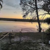 Peacock Cove ico