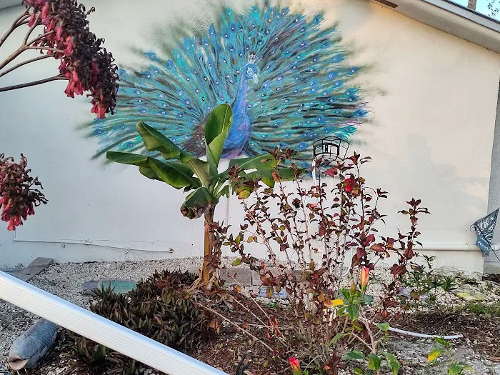 Peacock Cove Picture 4