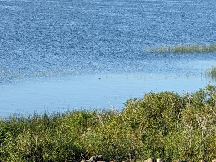 Gator RV Park Picture 5