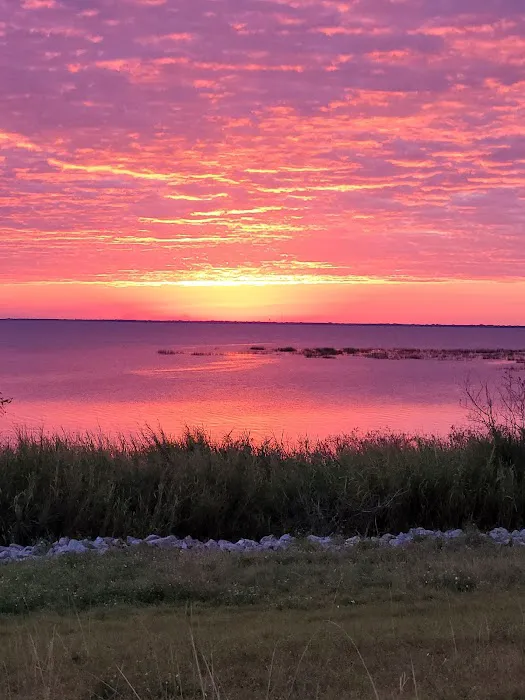 Gator RV Park Picture 6