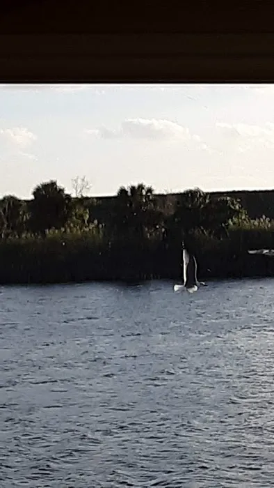 Gator RV Park Picture 8