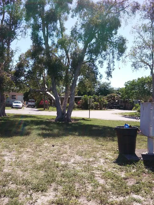 Tavares Cove Picture 8