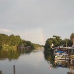 Busia’s From Albion TH Park