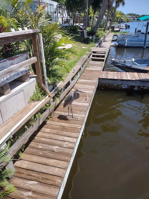 Cattleman's RV Park & Apartments Picture 4