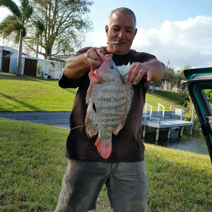 Lakeside RV Park Picture 2