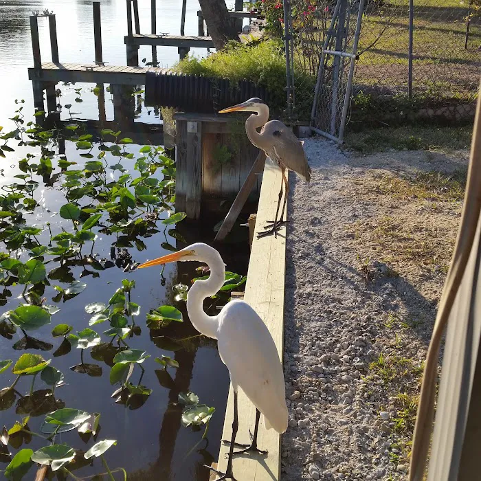 Lakeside RV Park Picture 6