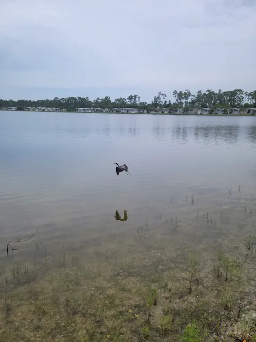 Crystal Lake RV Resort Picture 5