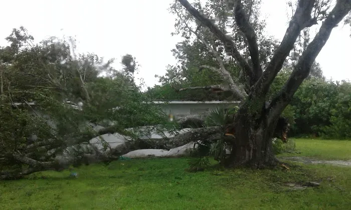 River Forest Village Inc Picture 5