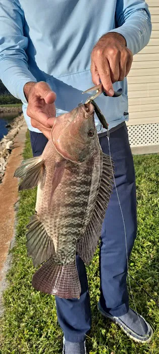 River Forest Village Inc Picture 8