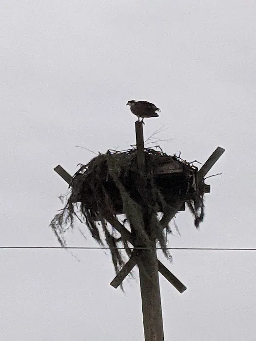 Water's Edge RV Resort Picture 7