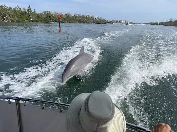 Water's Edge RV Resort Picture 5