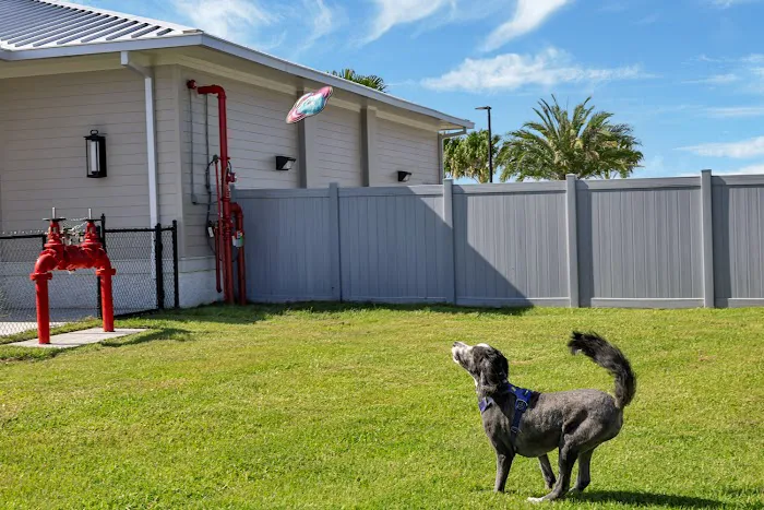 Southern Sands RV Resort, a 55+ Zeman Signature Resort Picture 10