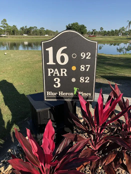 Blue Heron Pines Picture 8