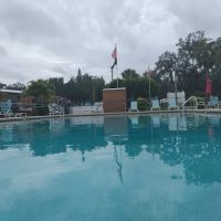 Lettuce Lake Travel Resort ico